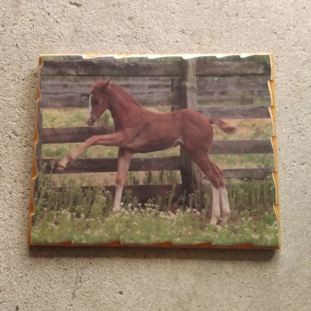 Retro Western Horse Wall Decor